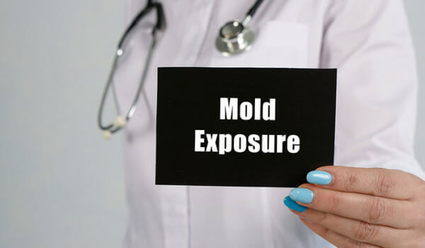 Health Problems That Come From Mold Bull Matrix Restoration   Health Problems That Come From Mold 600x351 